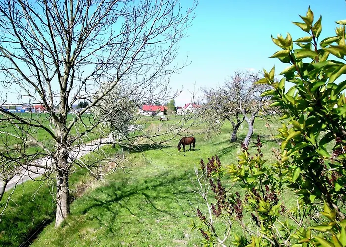 Prázdninový dům Vera Moritzburg